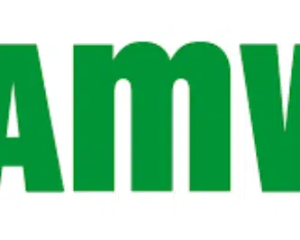 AMV Seguros - Telefono de atencion al cliente y contacto 3 AMV