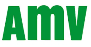 AMV Seguros - Telefono de atencion al cliente y contacto 4 AMV