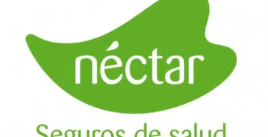 Nectar Seguros – Telefono de atención al cliente y contacto 9 nectar